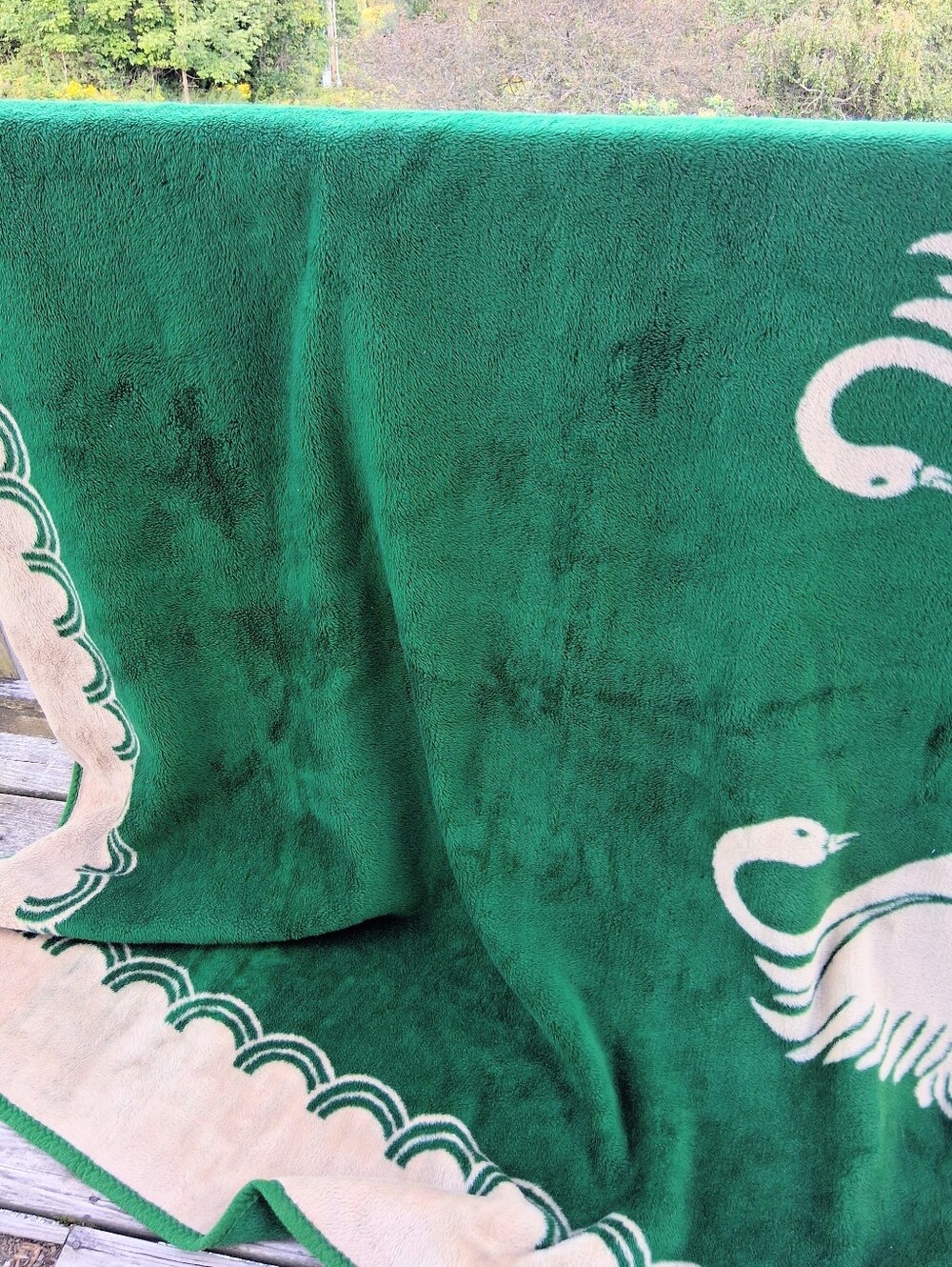 San Marcos 82" X 80" Green and Tan Swan Mexican Cobijia Buttery Soft Blanket - Picture 4 of 13